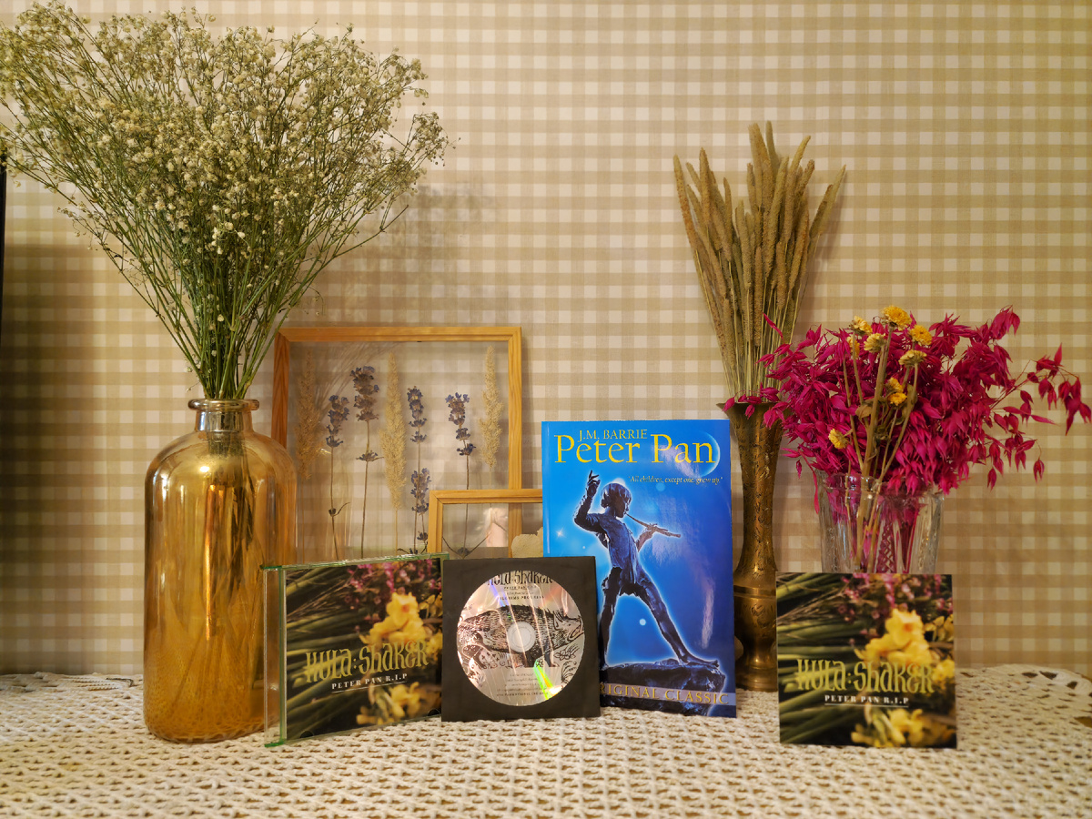 Сингл «Peter Pan R.I.P.» 2010 года британской группы Kula Shaker и книга «Питер Пэн» сэра Джеймса Мэтью Барри. 