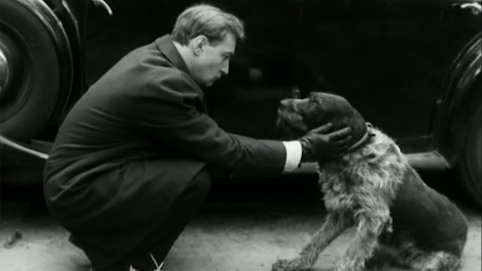 «Семнадцать мгновений весны». Герой Вячеслава Тихонова и собака. Где-то вдали грохочут взрывы авиабомб, испуганная собака, потерявшая хозяина, встретила человека. Сюжет из нашего, сегодняшнего мира войн, развязанных несменяемыми негодяями. 
