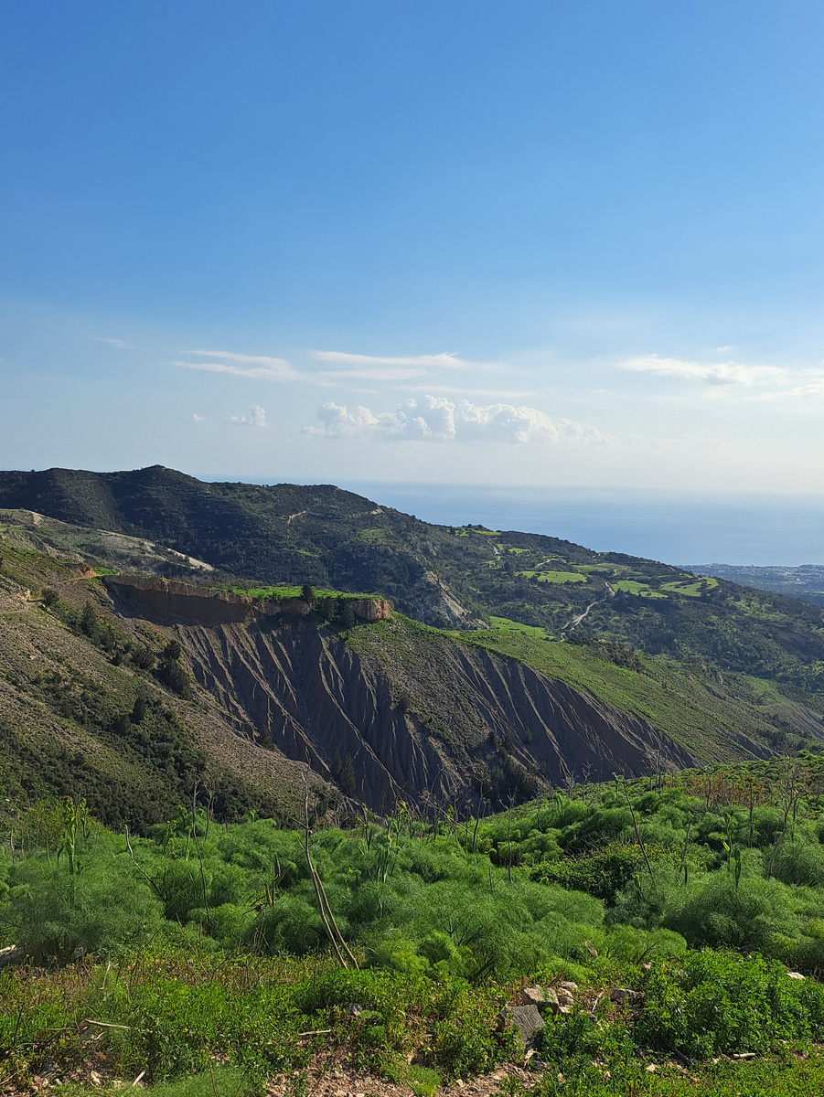 Все Фотографии сделаны автором статьи 