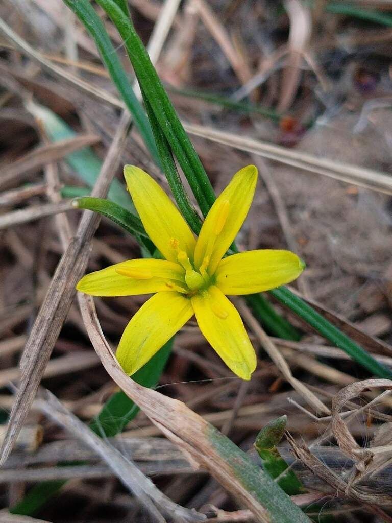    фото Сергей Тарасенко "Веселовские вести" Веселовские вести
