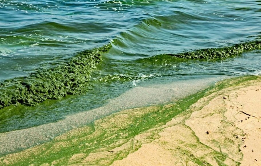    Фото: mediafax.ro