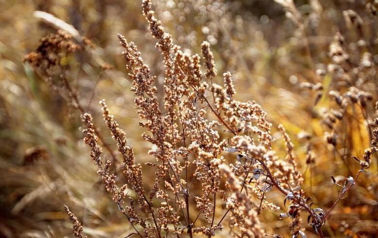 Пойди туда - не знаю куда...Глава 6