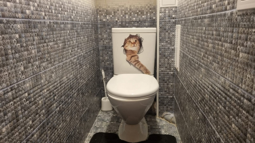    Фото Анастасии Дмитриевой