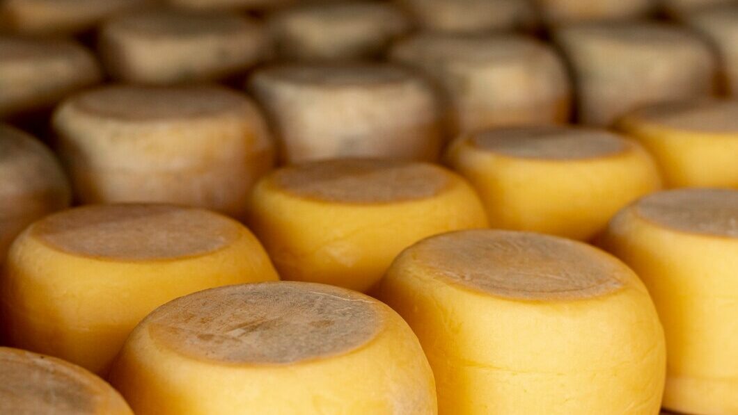    фото: freepik / freepik.com