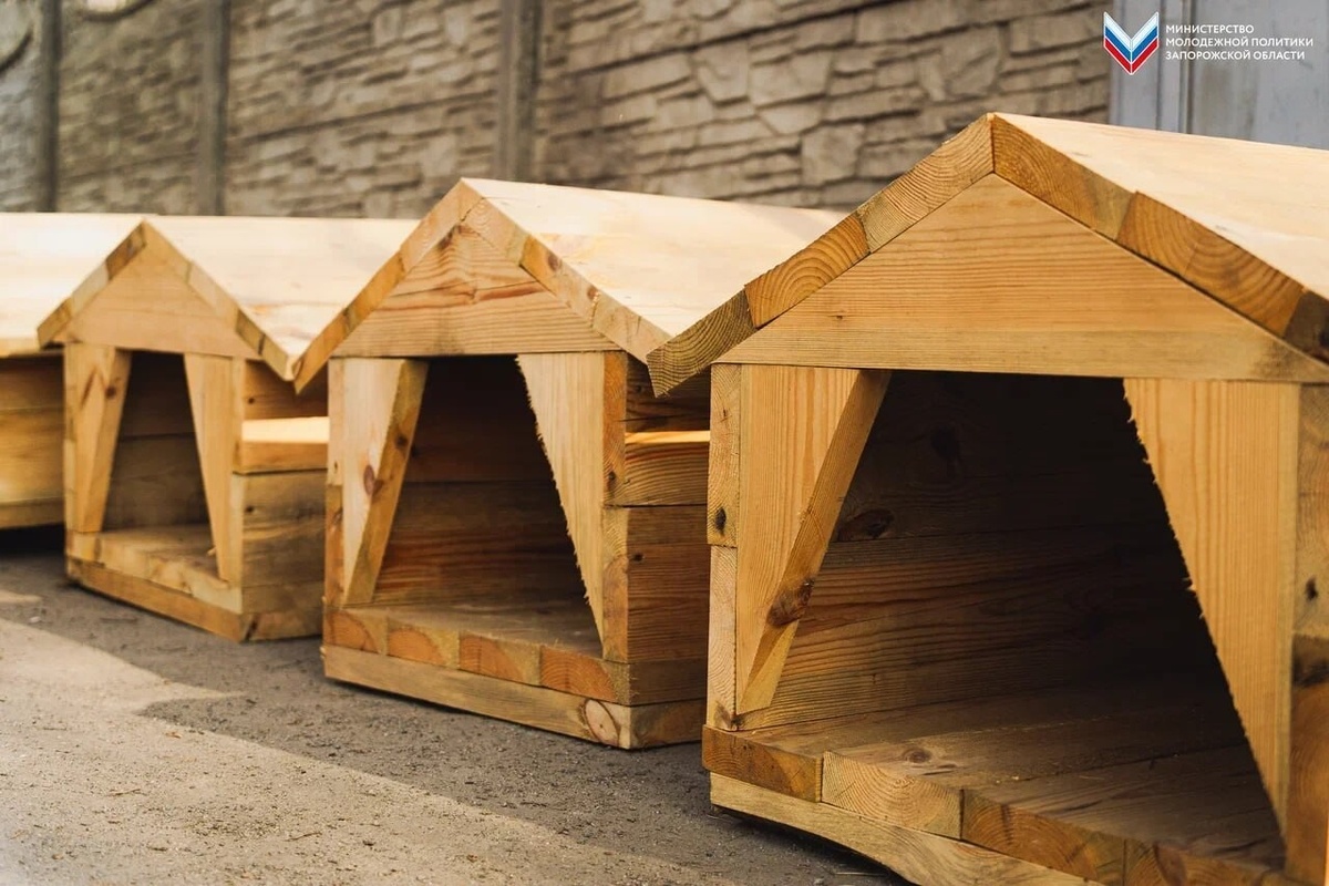    Фото: Минмолодежи Запорожской области