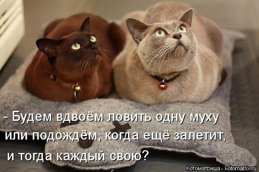 Стихи для детей