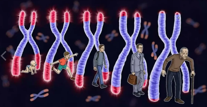 100 лет не предел: что наука говорит о том, сколько мы можем жить на самом деле