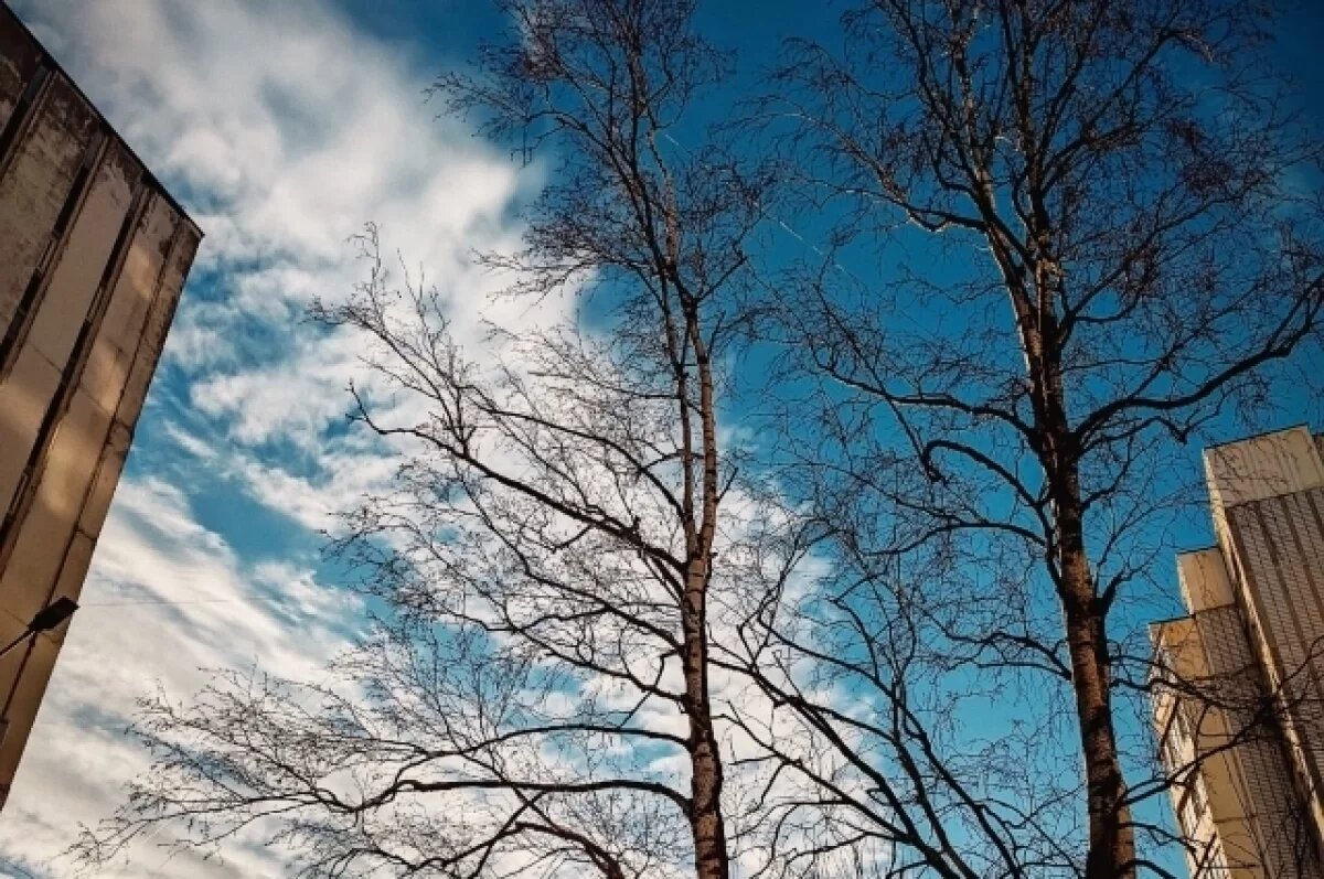    Весеннее тепло придёт в Смоленскую область 24 марта