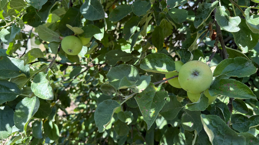    Фото: ПроГород