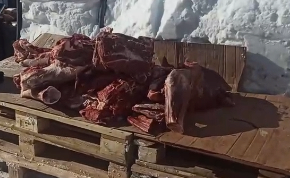    В Пыть-Яхе пресекли незаконную торговлю