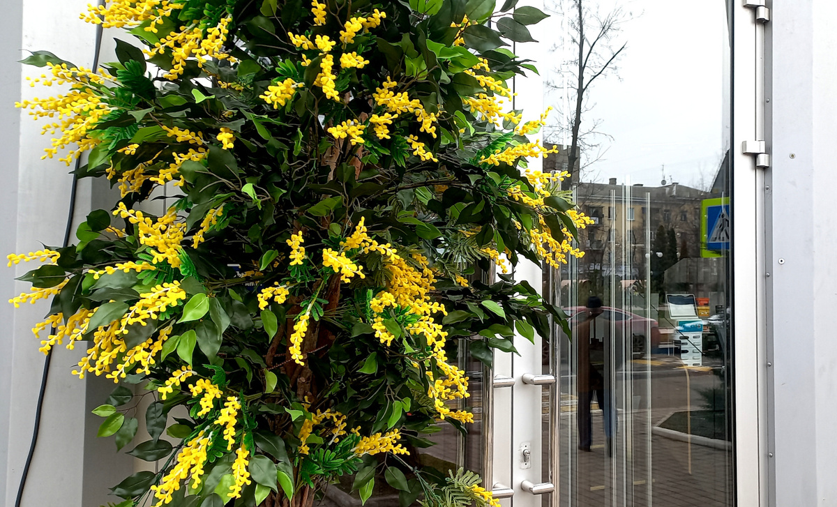 Донецкие кафе и рестораны оделись в желтое. Март 2026