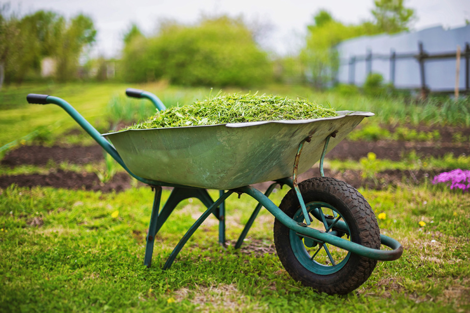    Shutterstock/FOTODOM