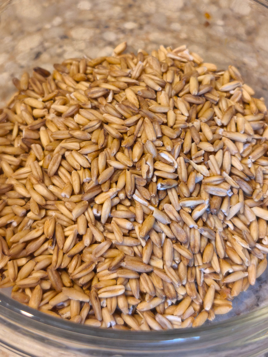 Овсяные цельные зерна 