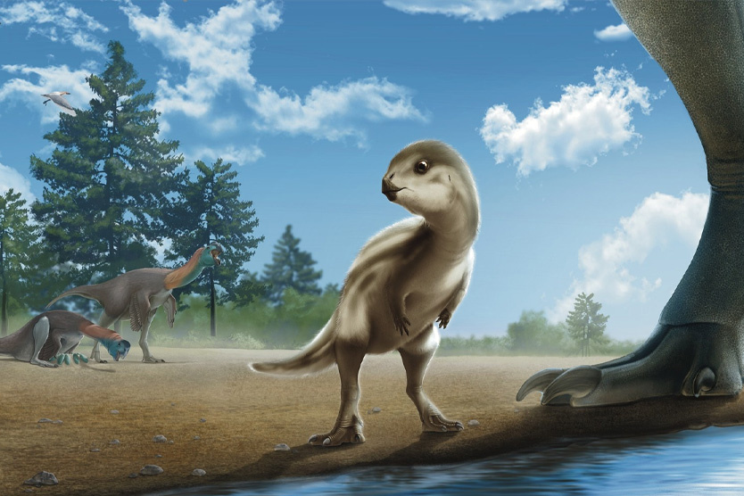     Фото: Jun Seong Yi