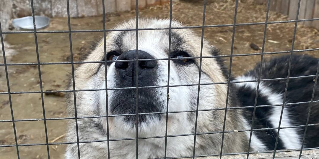 Не знаю что писать. Не знаю как просить...