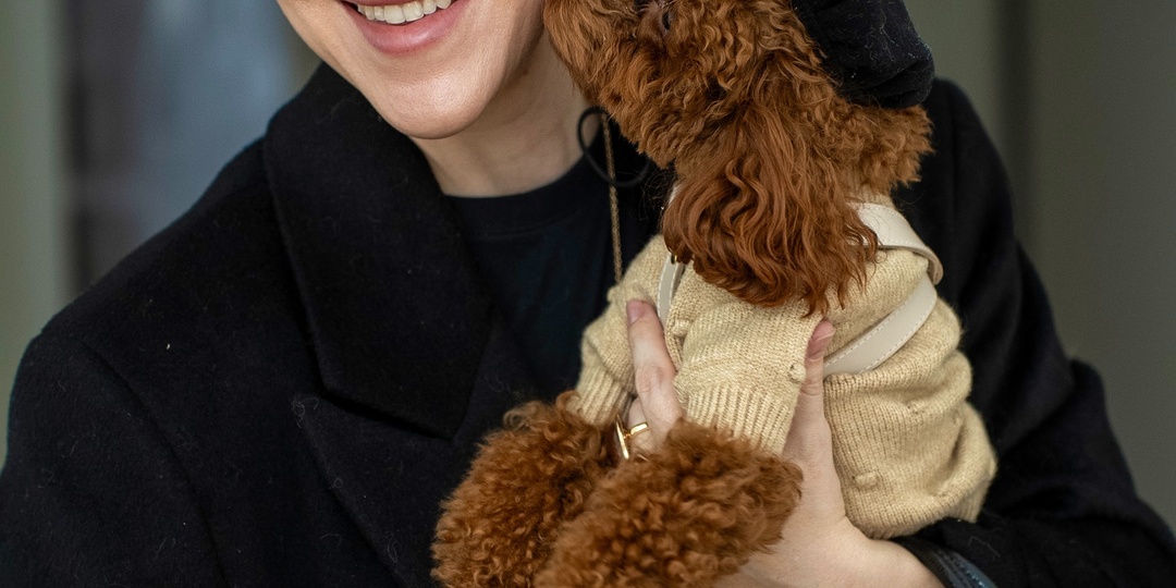 Минусы жизни с той-пуделем