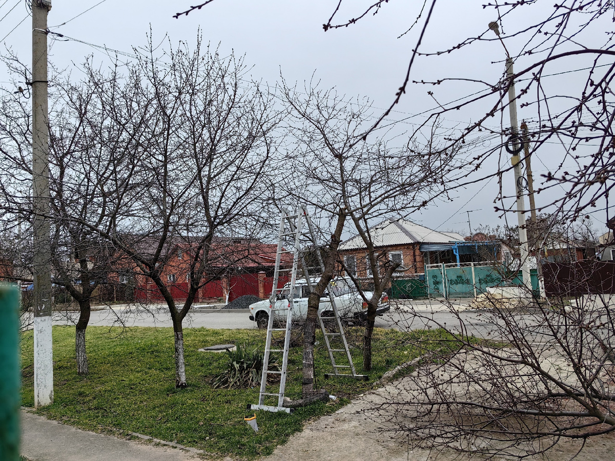 В процессе.