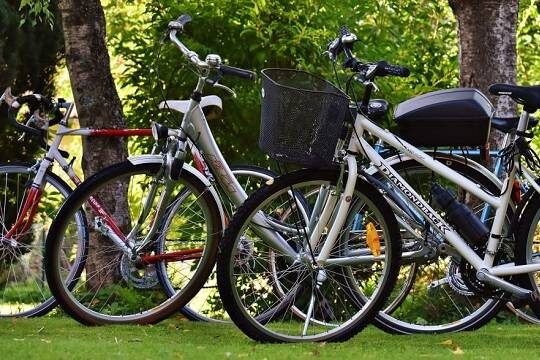    СПЧ направил в Минтранс предложения по электротранспорту курьеров (фото: pxhere.com)