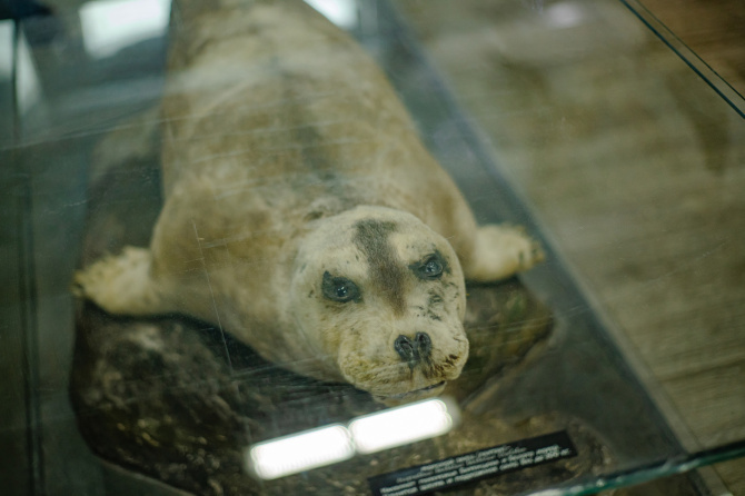 Фото: Екатерина Громова