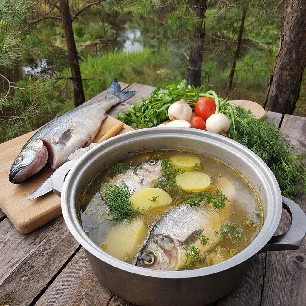 Уха рыбацкая