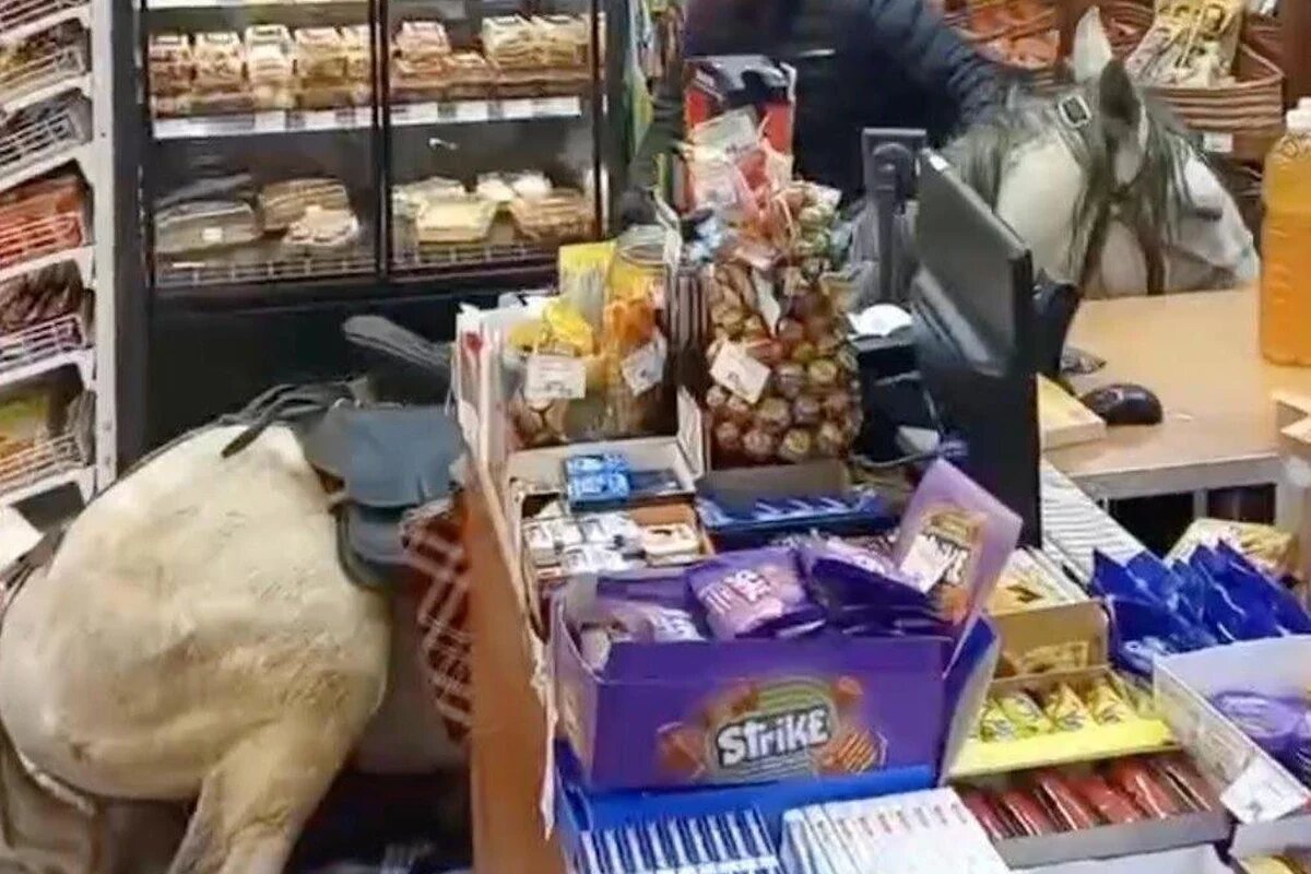    Скриншот видео t.me/chpnvrsk_official