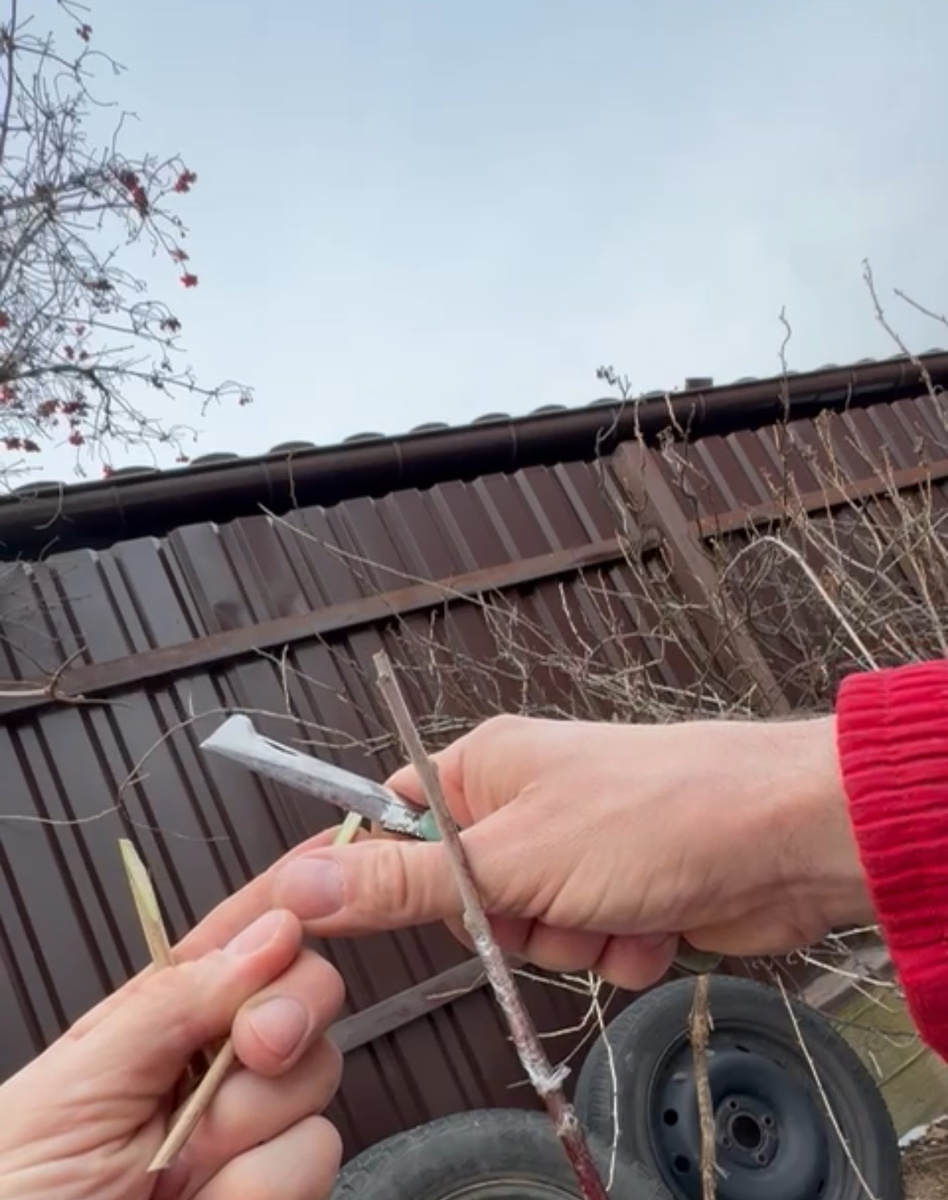 Заточка односторонняя 