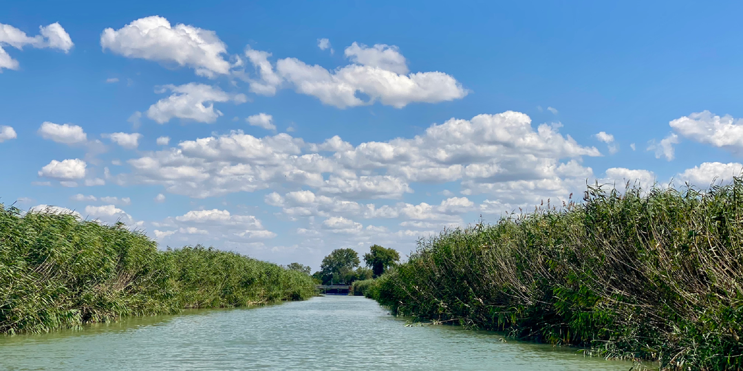 От теории к практике: подготовка к туристическому сезону