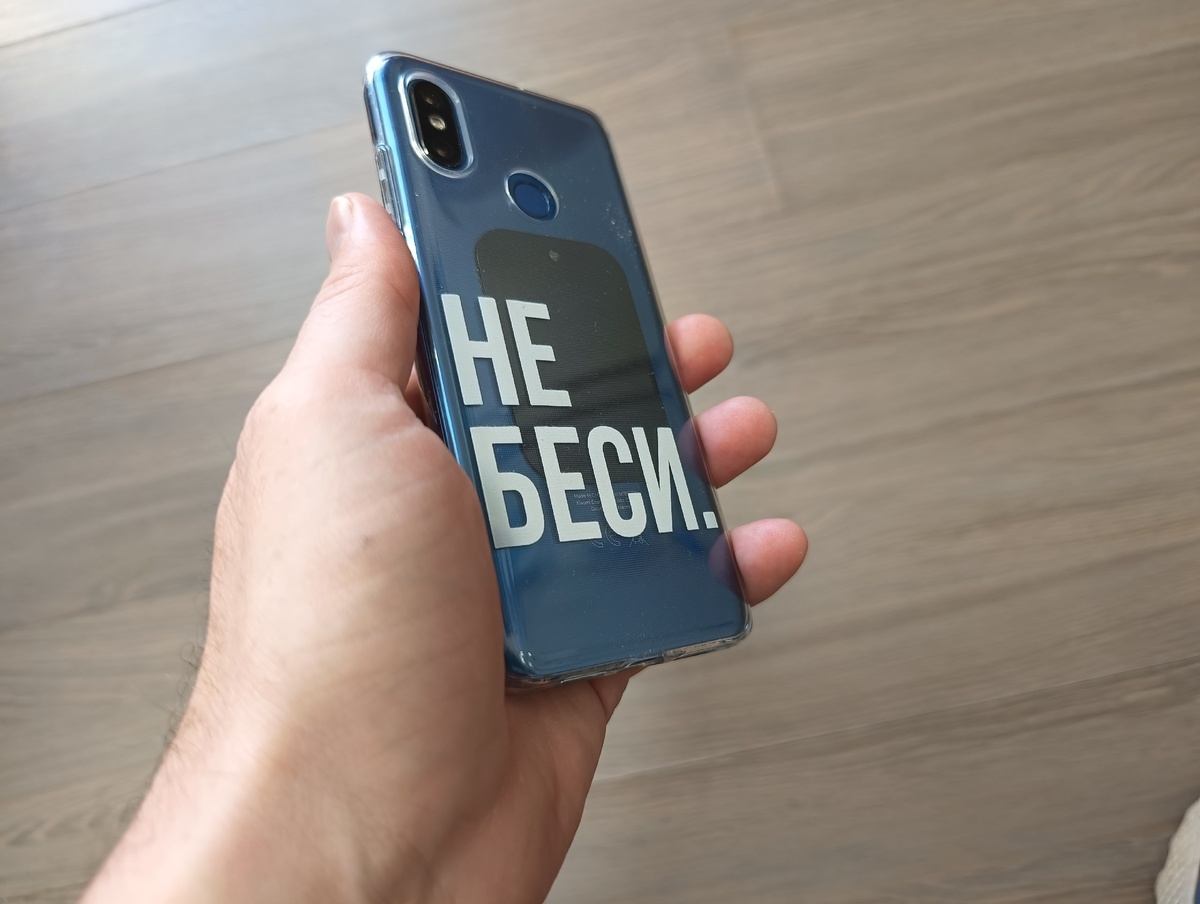    фото: © Столица на Онего