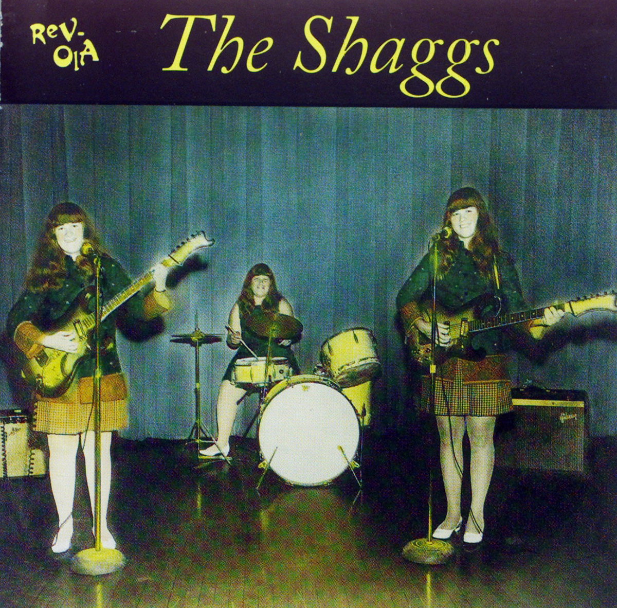 Обложка пластинки группы The Shaggs. Фото: Гарри Уизер/The Guardian