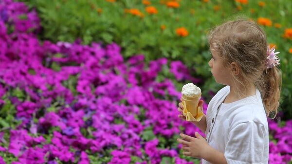    © Sputnik / Виталий Белоусов