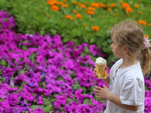 Весной Минск расцветет: планируется высадить тысячи кустовых роз и деревьев