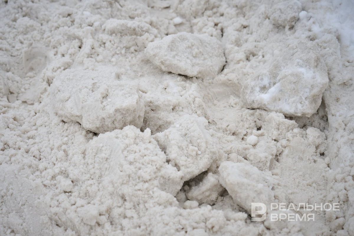   Динар Фатыхов / realnoevremya.ru