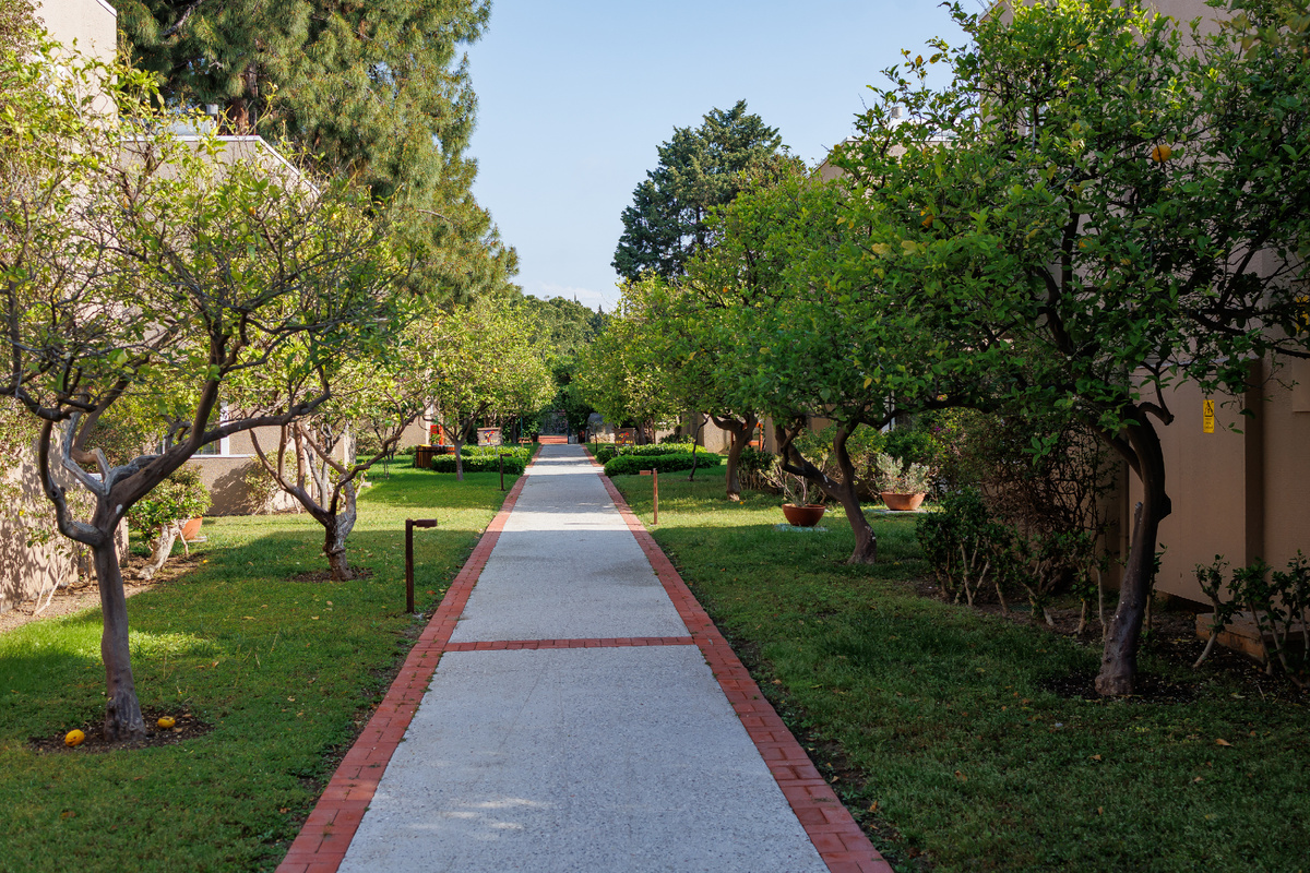 Отель с очень зеленой территорией!