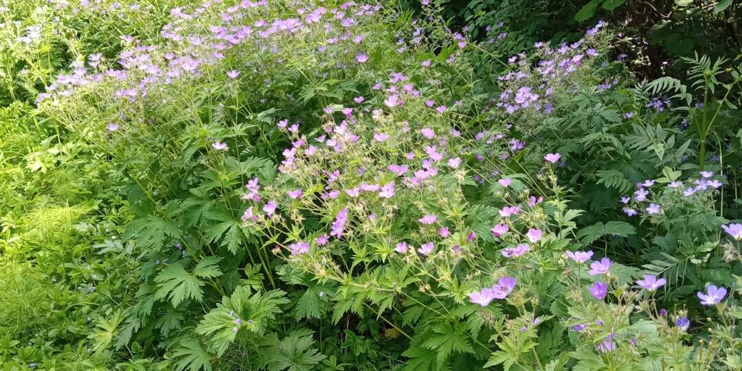 До чего я ещё "не доросла"?