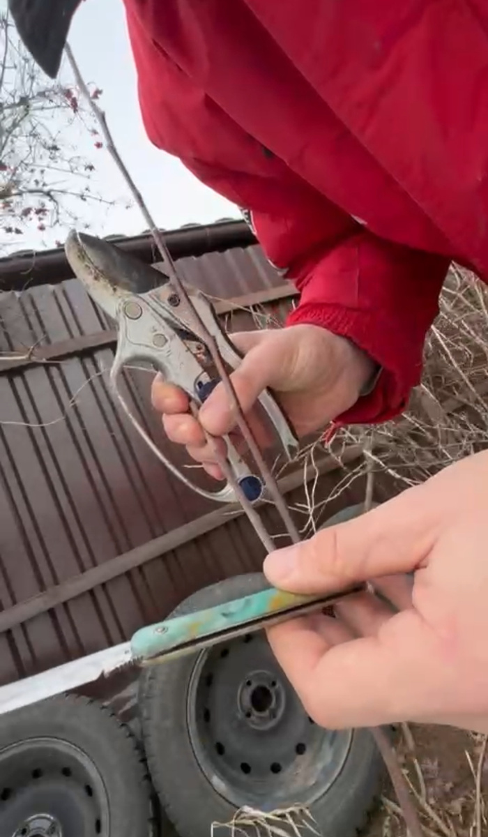 Самый хороший Секатор, поверьте на слово.