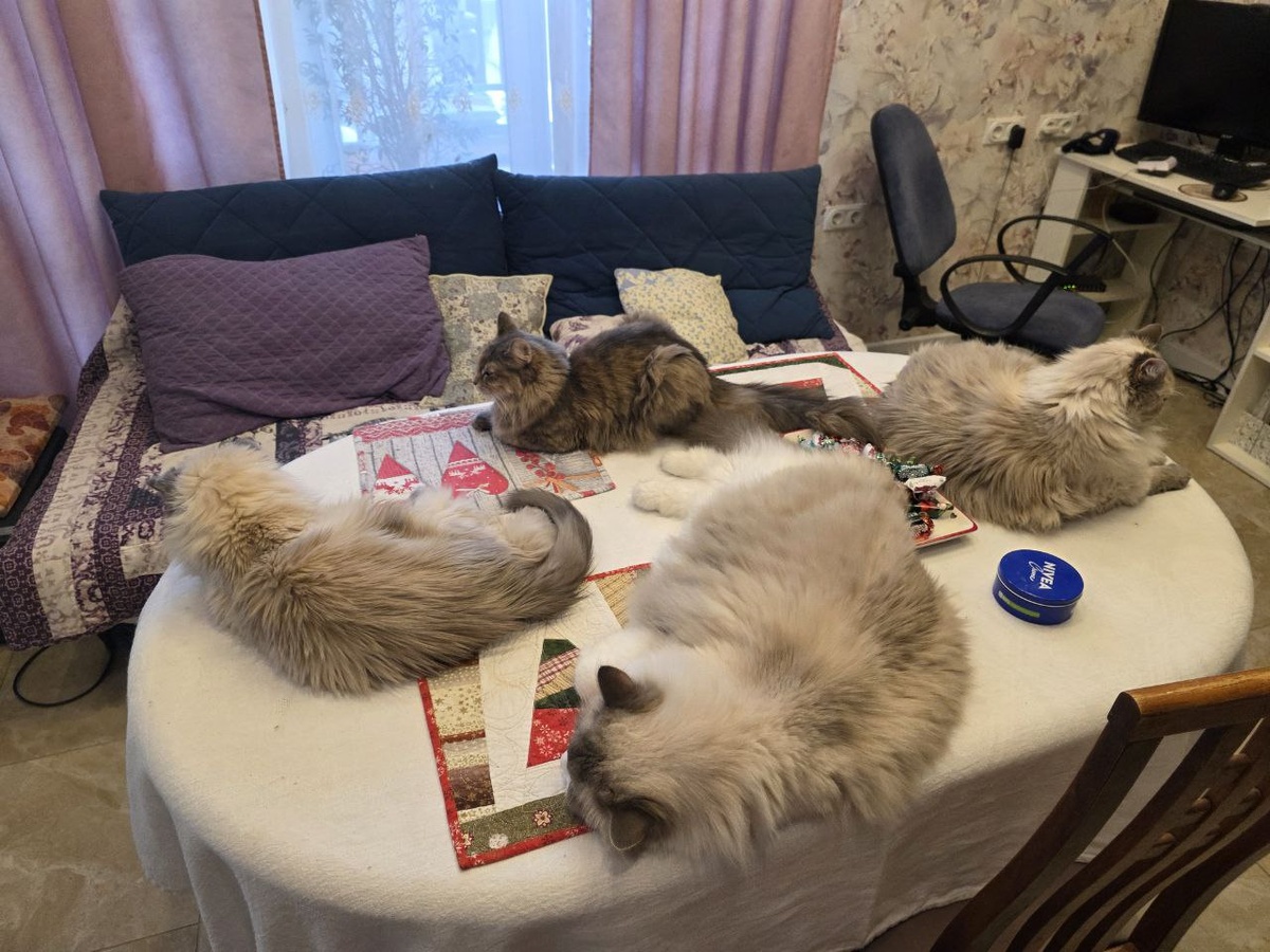 Когда не хотел, чтобы кошки лазили на стол )))