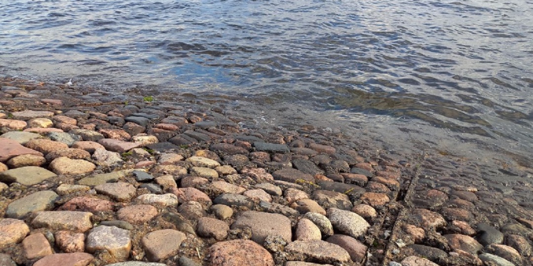 Африка идет на рекорд в сфере бункеровки из-за конфликта на Ближнем Востоке