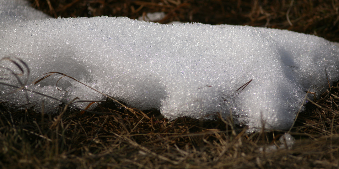 Макушка марта