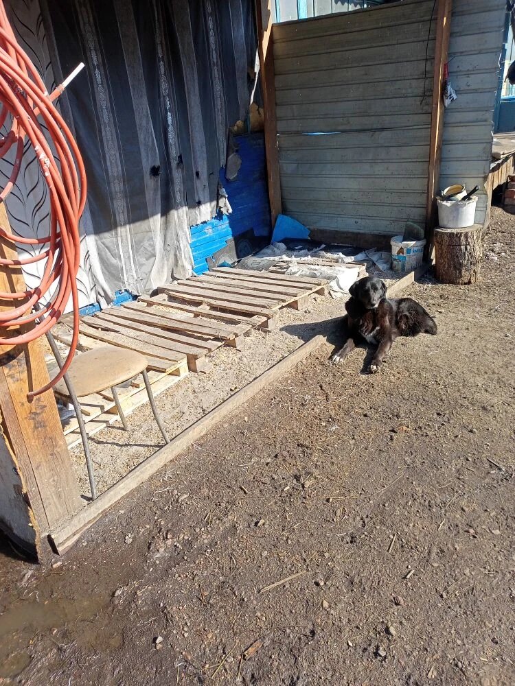 Сашка охраняет пустоту.