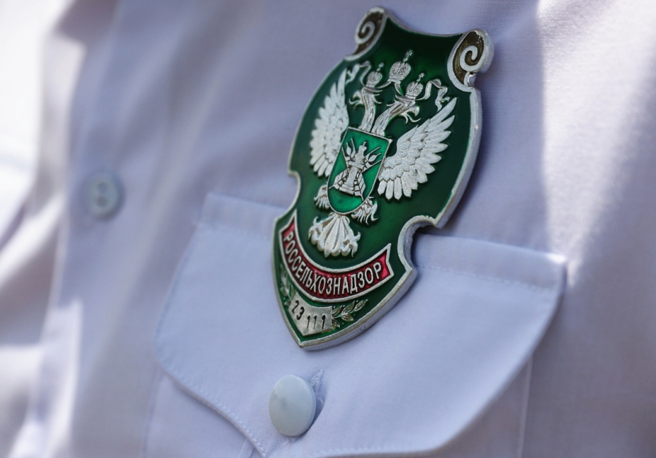    Виталий Тимкив/РИА Новости