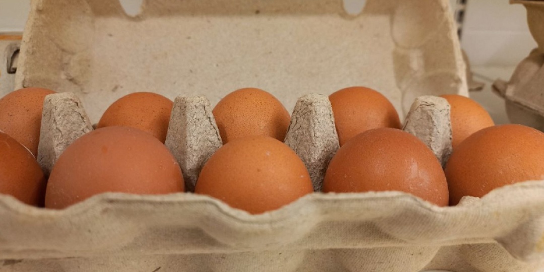Яйца в Крыму стали дороже почти на 50% за полтора месяца