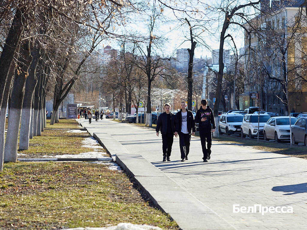     Фото: Елена Журавлёва