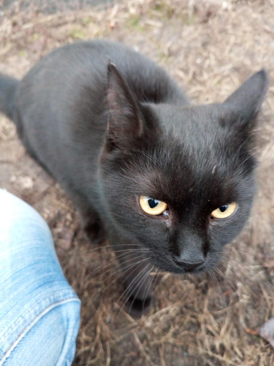 Держись, Аська!