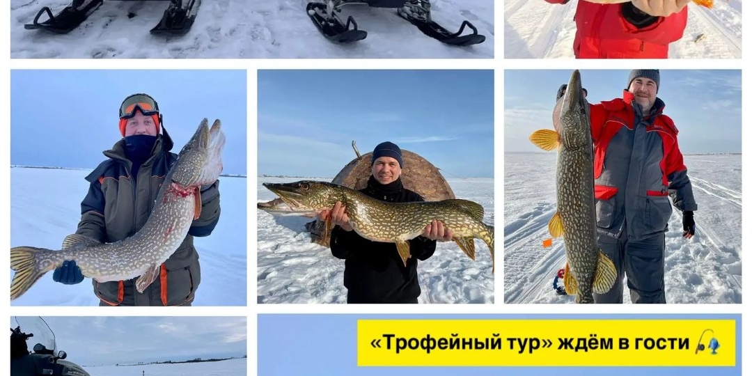 Трофейный тур удался