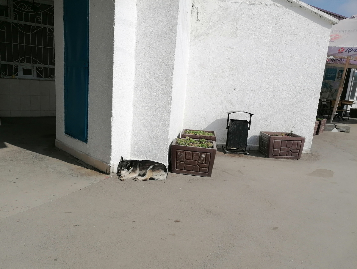 Солнечно и тепло, можно погреть бока. 