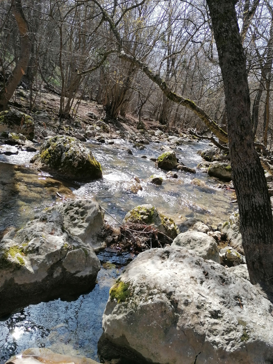 Маршрут к пещере проложен вдоль речки Кизил-Кобинка.  