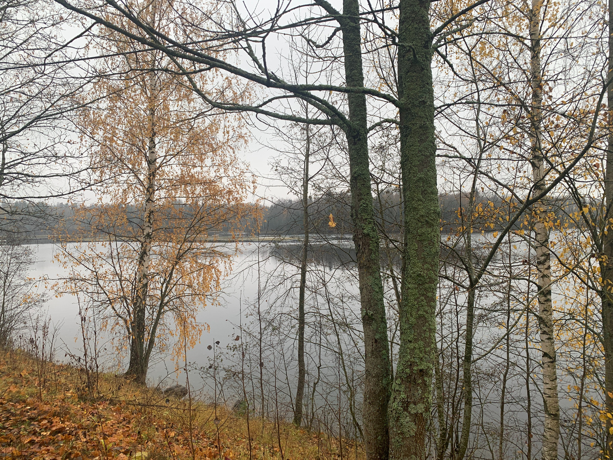 Картинка в голове, когда говоришь, что тебе скоро полтинник. Осень жизни