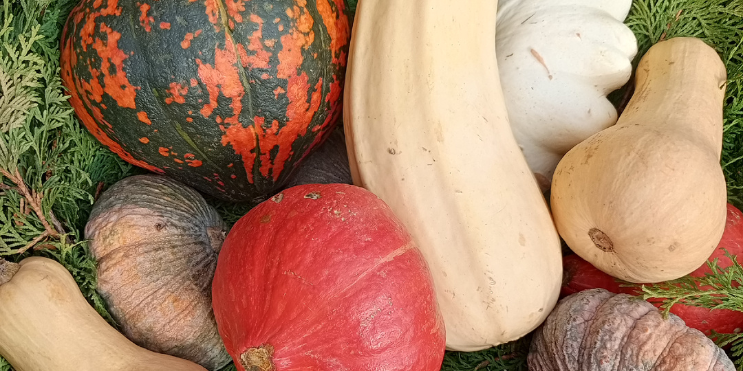 Абрамцево и Сергиев Посад - осеннее очарование