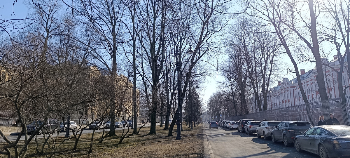 Менделеевская линия (слева НИИ Отта, справа Двенадцать коллегий) Листайте дальше