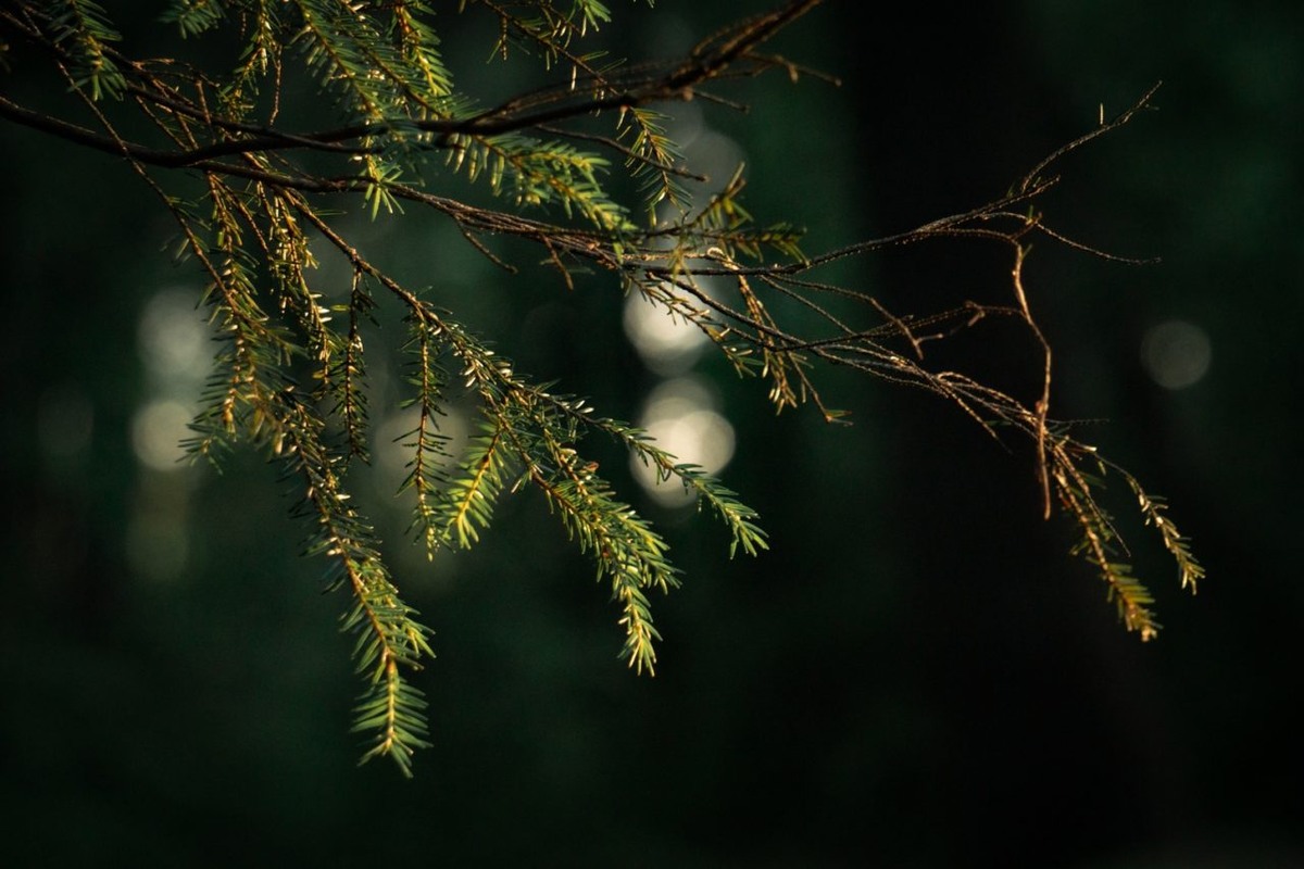    Фото: "Республика" / Оксана Кудряшова